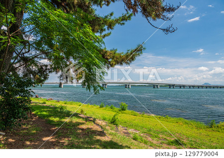 膳所城跡公園からの近江大橋の景観　滋賀県大津市 129779004