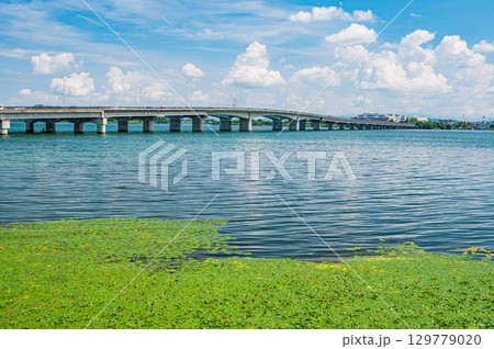 近江大橋 滋賀県大津市 近江大橋 滋賀県大津市 129779020