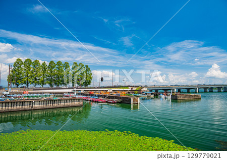 膳所港とメタセコイア並木 近江大橋 滋賀県大津市 膳所港とメタセコイア並木 近江大橋 滋賀県大津市 129779021