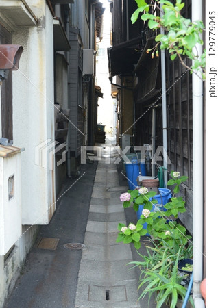 東京下町･路地裏（東京都江東区越中島） 129779045