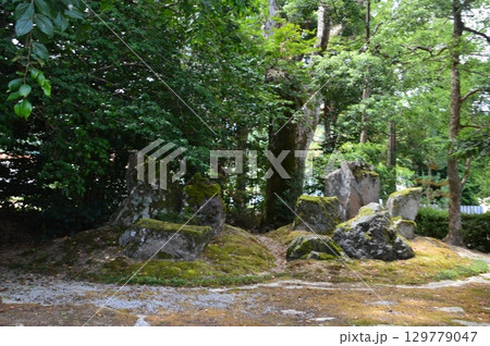 蓬山(とこよ)の庭（浦嶋神社 境内／京都府与謝郡伊根町本庄浜141） 129779047