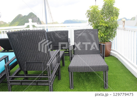 flowers in the garden 129779475