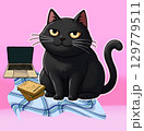 set of cats 129779511