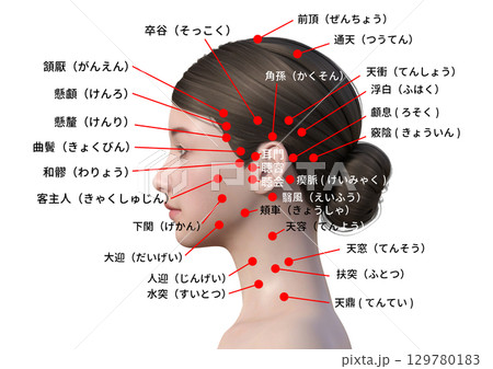 顔と頭 喉仏 首のツボ 解説 日本人3Dモデルの上半身横顔のイラスト 129780183