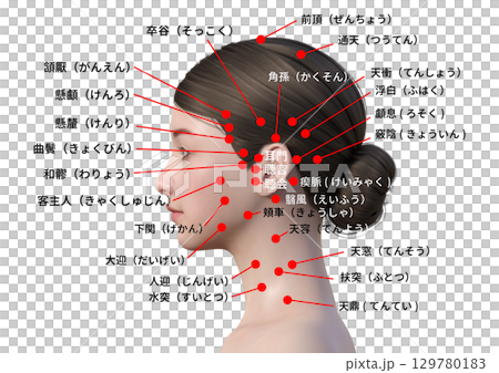 顔と頭 喉仏 首のツボ 解説 日本人3Dモデルの上半身横顔のイラスト 129780183