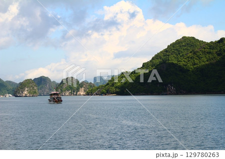 sea and mountains in vietnam 129780263
