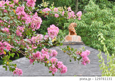 拾翠亭のシーサーと百日紅 拾翠亭のシーサーと百日紅 129781131