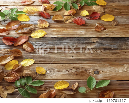 木の板の上に並べられた落ち葉のフレームイメージ素材 129781337