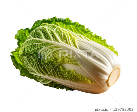 秋の収穫野菜（白菜,ハクサイ） 129782302