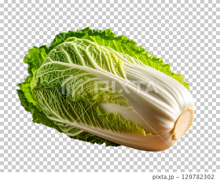秋の収穫野菜（白菜,ハクサイ） 129782302