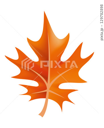 A Vibrant Autumn Maple Leaf Displaying a Bright, Striking Orange Color in Natures Beauty 129782898