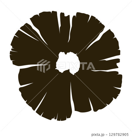 Wooden logs texture. Wood concepts graphics, lumber circle top view. Vintage outline tree ring stump, cut trees structure racy vector Wooden logs texture. Wood concepts graphics, lumber circle top view. Vintage outline tree ring stump, cut trees structure racy vector 129782905