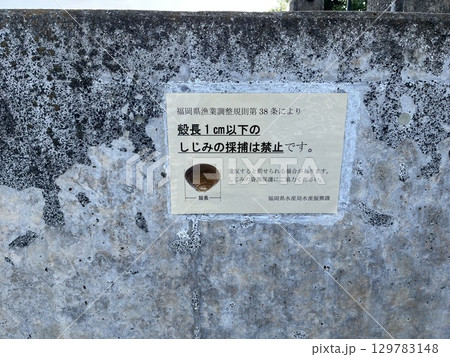 室見川「しじみ採捕」に関する注意書き 室見川「しじみ採捕」に関する注意書き 129783148