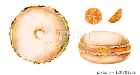 Citrus macarons with cut orange slices in watercolor, whoopie pie bun biscuit, side and top view. Isolated hand drawn illustration. Summer packaging, juice bar branding, or fresh-themed product lines. 129783216