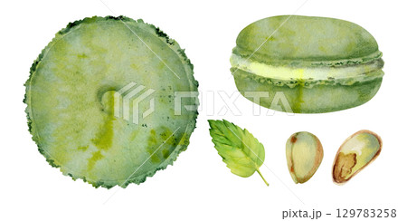 Macaronsm whoopie pies with mint leaf garnish, pistachio nuts, shells and fresh kernels. Watercolor hand painted illustration. Cafe menus, tea party invitation, artisanal dessert poster, bakery logo. 129783258
