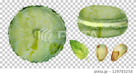 Macaronsm whoopie pies with mint leaf garnish, pistachio nuts, shells and fresh kernels. Watercolor hand painted illustration. Cafe menus, tea party invitation, artisanal dessert poster, bakery logo. 129783258