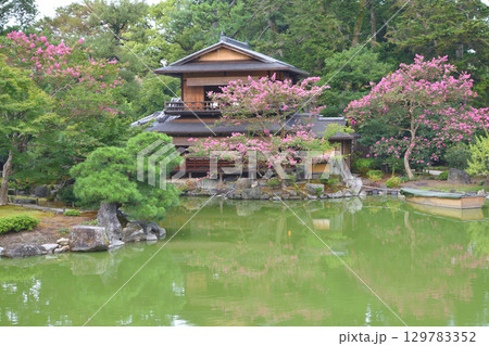 京都御苑の百日紅と拾翠亭 京都御苑の百日紅と拾翠亭 129783352