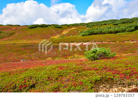 秋　旭岳　旭平　 129783357