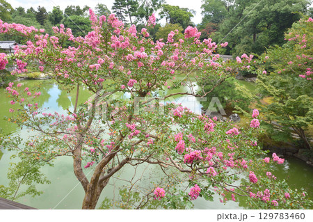 京都御苑の拾翠亭の2階からの眺め 129783460