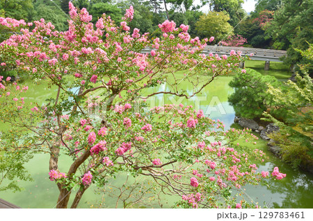 京都御苑の拾翠亭の2階からの眺め 129783461