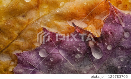 Close-up of fall leaves with dew droplets on a misty morning . 129783706