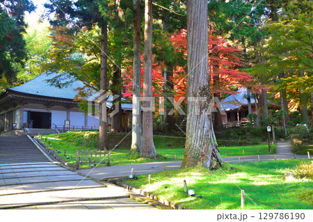 秋 奥州 平泉 中尊寺 金色堂覆堂 秋 奥州 平泉 中尊寺 金色堂覆堂 129786190