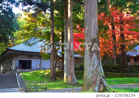 秋　奥州　平泉　中尊寺　金色堂覆堂 129786234
