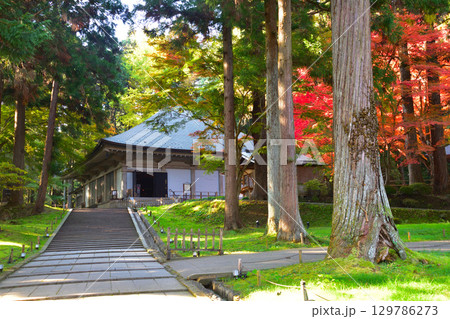 秋　奥州　平泉　中尊寺　金色堂覆堂 129786273
