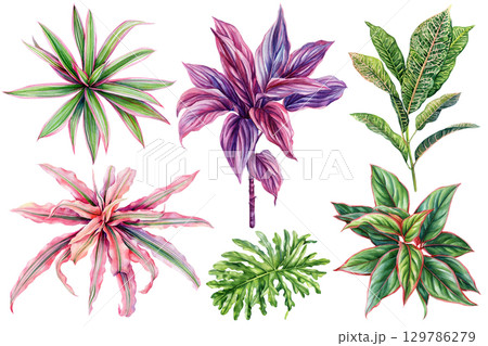 Tropical houseplant leaves set watercolor botanical illustration with exotic foliage and indoor greenery 129786279
