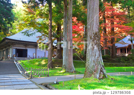 秋 奥州 平泉 中尊寺 金色堂覆堂 秋 奥州 平泉 中尊寺 金色堂覆堂 129786308