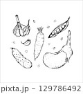 Garlic Carrot Cucumber Peas and Eggplant Hand Drawn Sketch 129786492