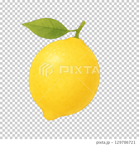 【フルーツ】レモンのイラスト 129786721