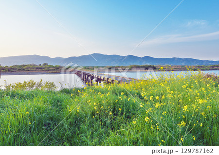 【高瀬橋 (吉野川)】 徳島県名西郡石井町藍畑西覚円 【高瀬橋 (吉野川)】 徳島県名西郡石井町藍畑西覚円 129787162