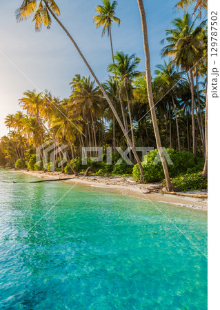 Luxury beach with palm trees and quiet sea on tropical island. Tropical vacation Luxury beach with palm trees and quiet sea on tropical island. Tropical vacation 129787502