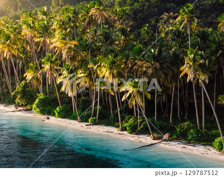 Paradise coastline with palm trees and sunrise light on tropical island in Indonesia. Remote travel destination. 129787512