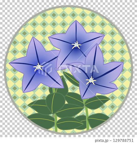 円形背景つきキキョウのイラスト 129788751