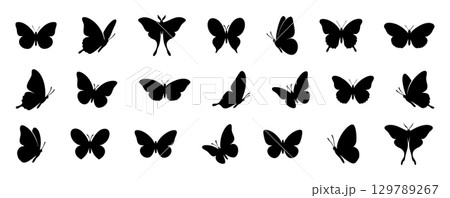 Set of Black silhouette of various butterfly forms shown in a horizontal array on white background, graphic illustration. concept of nature, insect, beauty, icon, logo, design element 129789267