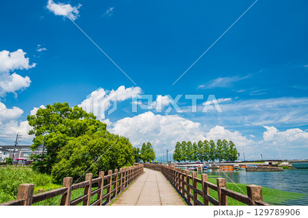 膳所城跡公園の遊歩道　滋賀県大津市 129789906