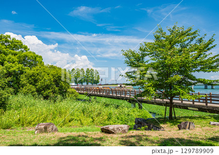 膳所城跡公園の遊歩道　滋賀県大津市 129789909