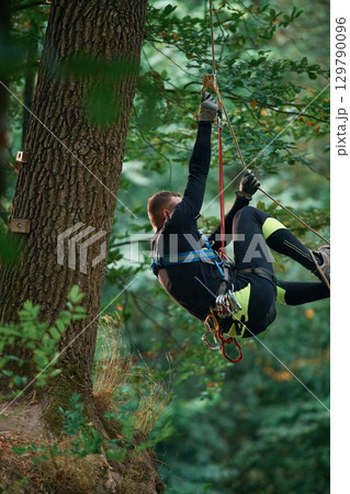 Activity, hanging on a rope. Man is doing climbing in the forest by use of safety equipment 129790096