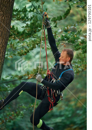 Side view, using the rope, hanging. Man is doing climbing in the forest by use of safety equipment 129790101