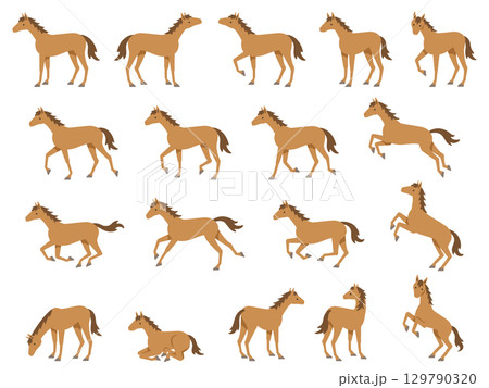 色々なポーズの馬のイラスト 色々なポーズの馬のイラスト 129790320