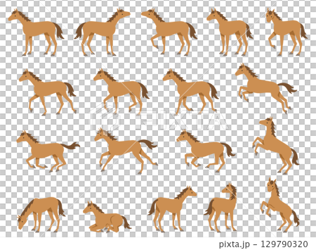 色々なポーズの馬のイラスト 色々なポーズの馬のイラスト 129790320