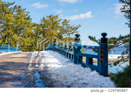 冬の天橋立、雪景色の松並木と大天橋の青い橋 冬の天橋立、雪景色の松並木と大天橋の青い橋 129790967