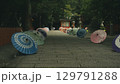 熊野速玉大社参道　和傘の灯り 129791288