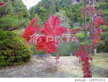 紅葉の白水阿弥陀堂 2011 129791531