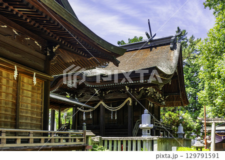 今村宮 本殿 岡山県岡山市 今村宮 本殿 岡山県岡山市 129791591