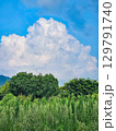 夏の青空と白い雲と緑の草木 129791740