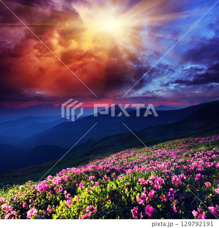 sunset sunset 129792191