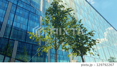 Office building. Glass skyscrapers in business center. Architecture, commercial real estate 129792267